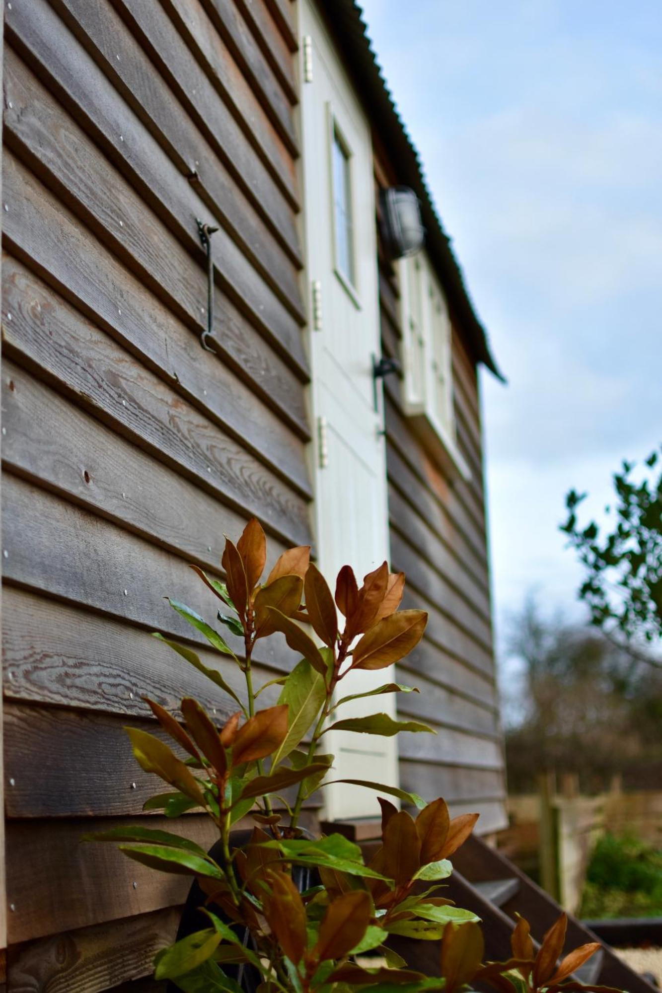 Ferienwohnung The Deer Hut Burpham Exterior foto